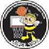 https://img.3d30d.com/img/basketball/team/e416830f4083698237c559f8988ddb25.png