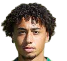 https://img.3d30d.com/img/football/player/347a6d58ae7ec0425a4d42bc9215c411.png