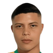 https://img.3d30d.com/img/football/player/8307fea93e3800f40ad94ea9834fa234.png