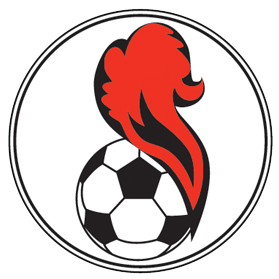 https://img.3d30d.com/img/football/team/5541e5015258ae82b121480f4164267d.png