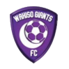 https://img.3d30d.com/img/football/team/c5a548d374c3bb29f1190bf670442c90.png